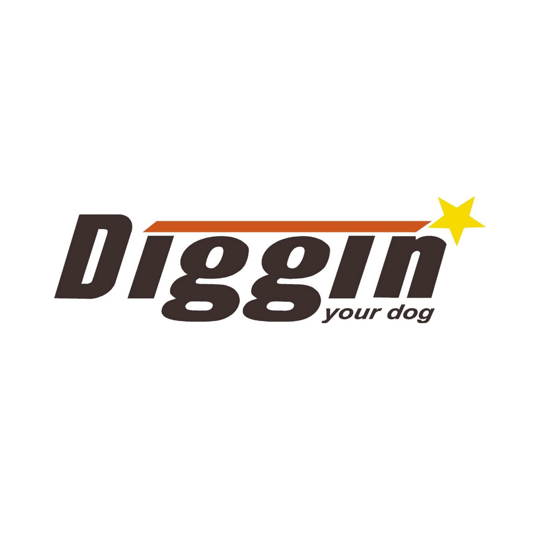 Diggin Your Dog