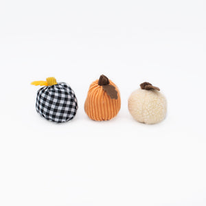 Halloween Miniz 3-Pack - Gourds