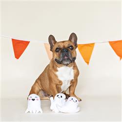 Hey Boo Small Plush Dog Toy Set