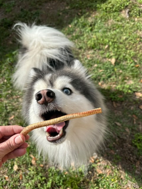 Furever Primal 15 Count