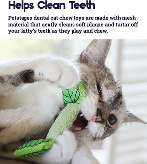 Petstages Fresh Breath Mint Stick