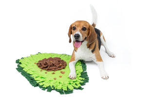 INJOYA Avocado Snuffle Mat