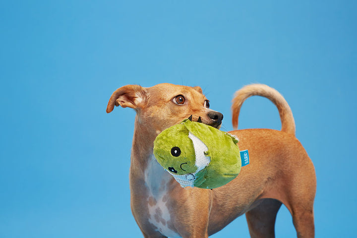 BARK Consuela the Cactus Dog Toy - Rip &amp; Reveal with Spiky Squeaker Ball
