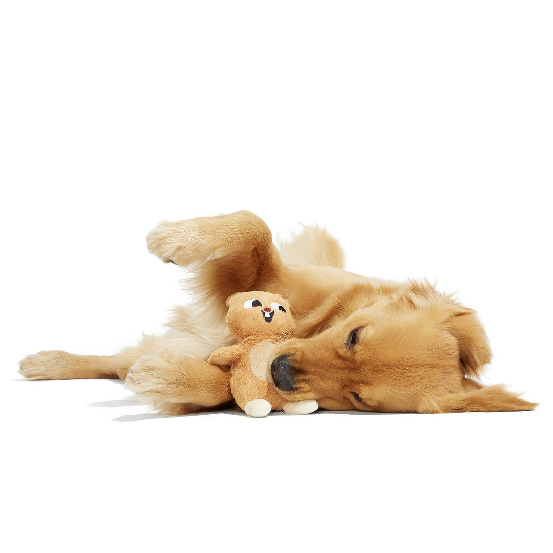 BARK Pearl Squirrel Plush Dog Toy - Whip-N-Flip Tail &amp; Squeaker