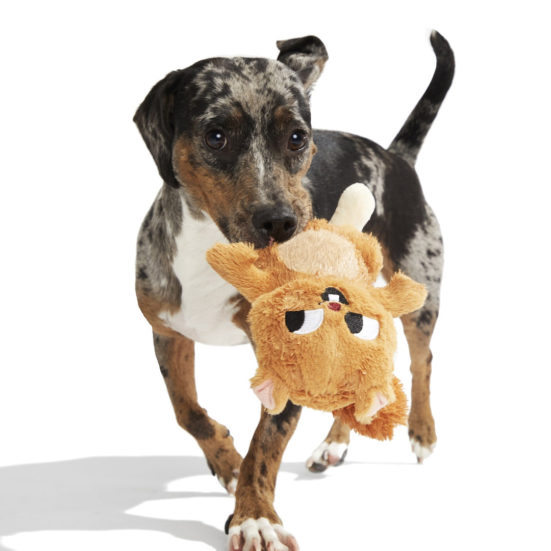 BARK Pearl Squirrel Plush Dog Toy - Whip-N-Flip Tail &amp; Squeaker
