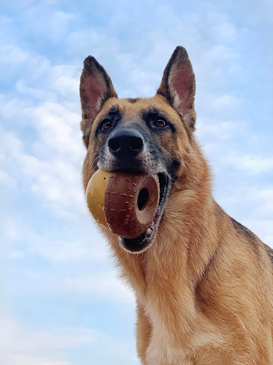 BARK Super Chewer Acornucopia Dog Toy Large - Treat Dispensing Peanut Scent
