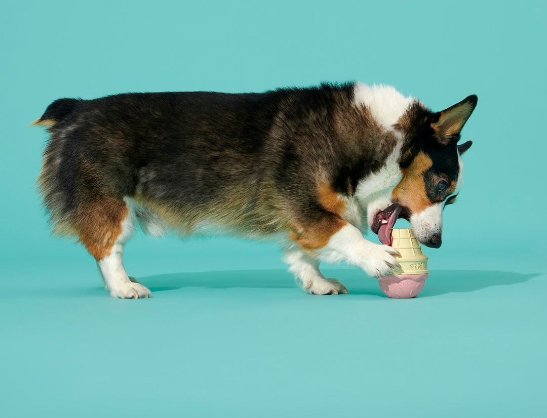 BARK Super Chewer I-Squeak Cone Dog Toy Medium-Large - Strawberry Bacon Scent