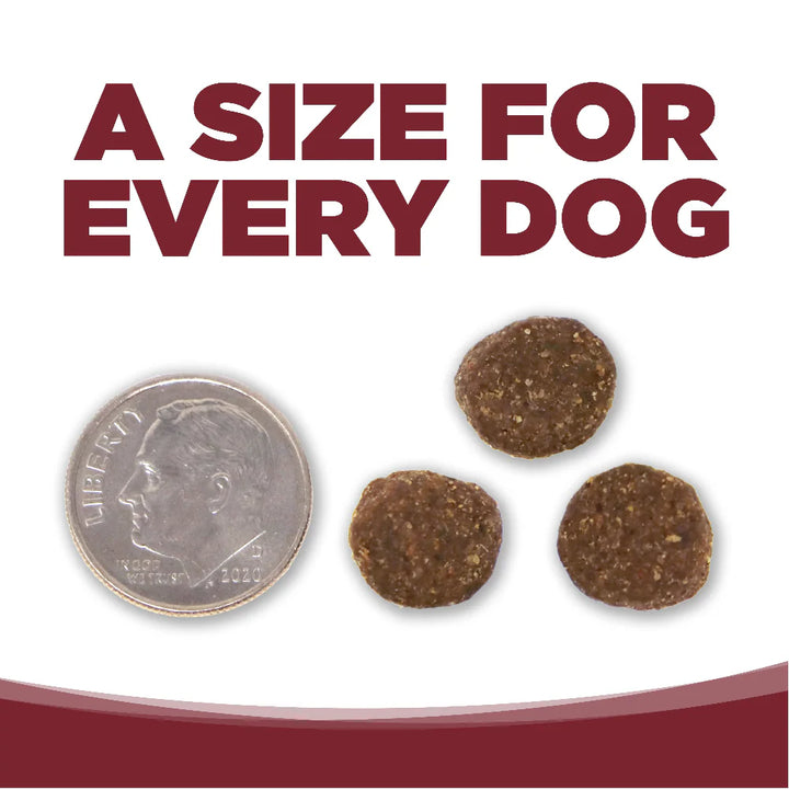 NutriSource Grain Inclusive Dry Dog Food