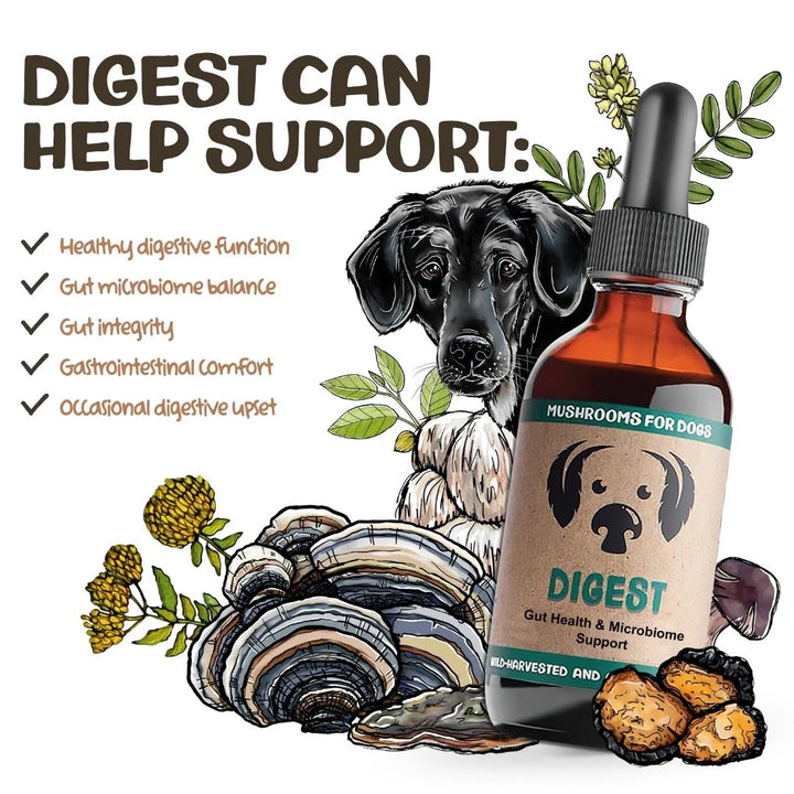 MycoDog - Digest Tincture 2oz