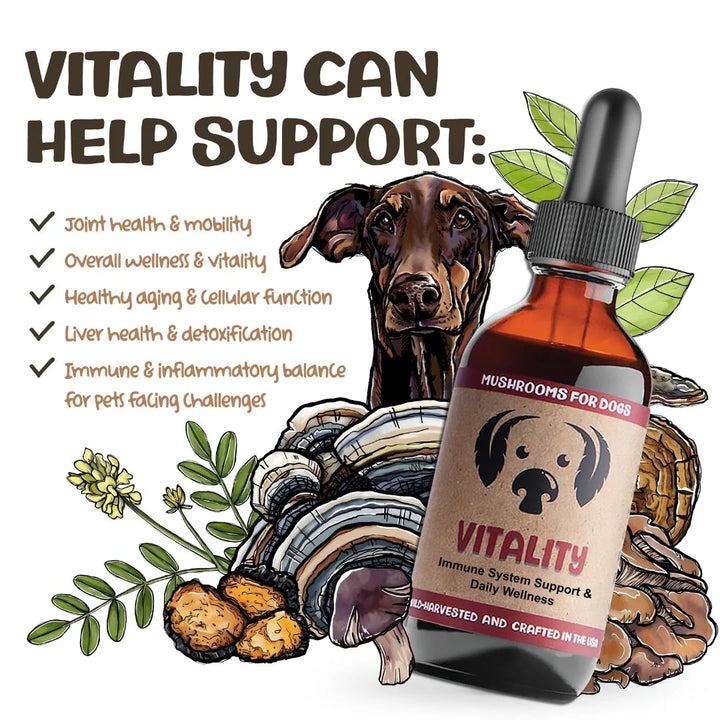 MycoDog - Vitality Tincture 2oz