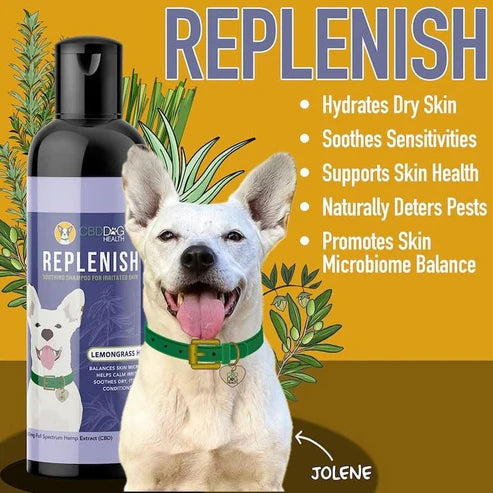 ZBD Dog - 12oz Replenish Shampoo
