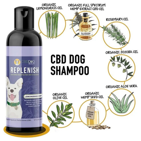ZBD Dog - 12oz Replenish Shampoo