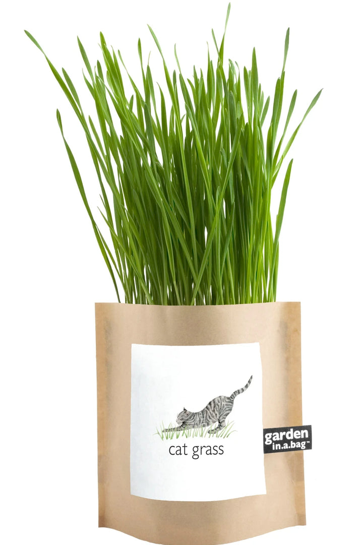 Garden in a Bag | Cat Grass &amp; Catnip Grow Kit
