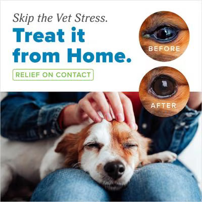 TropiClean HOMEVET Soothing Eye Wash 4 oz For Dogs &amp; Cats