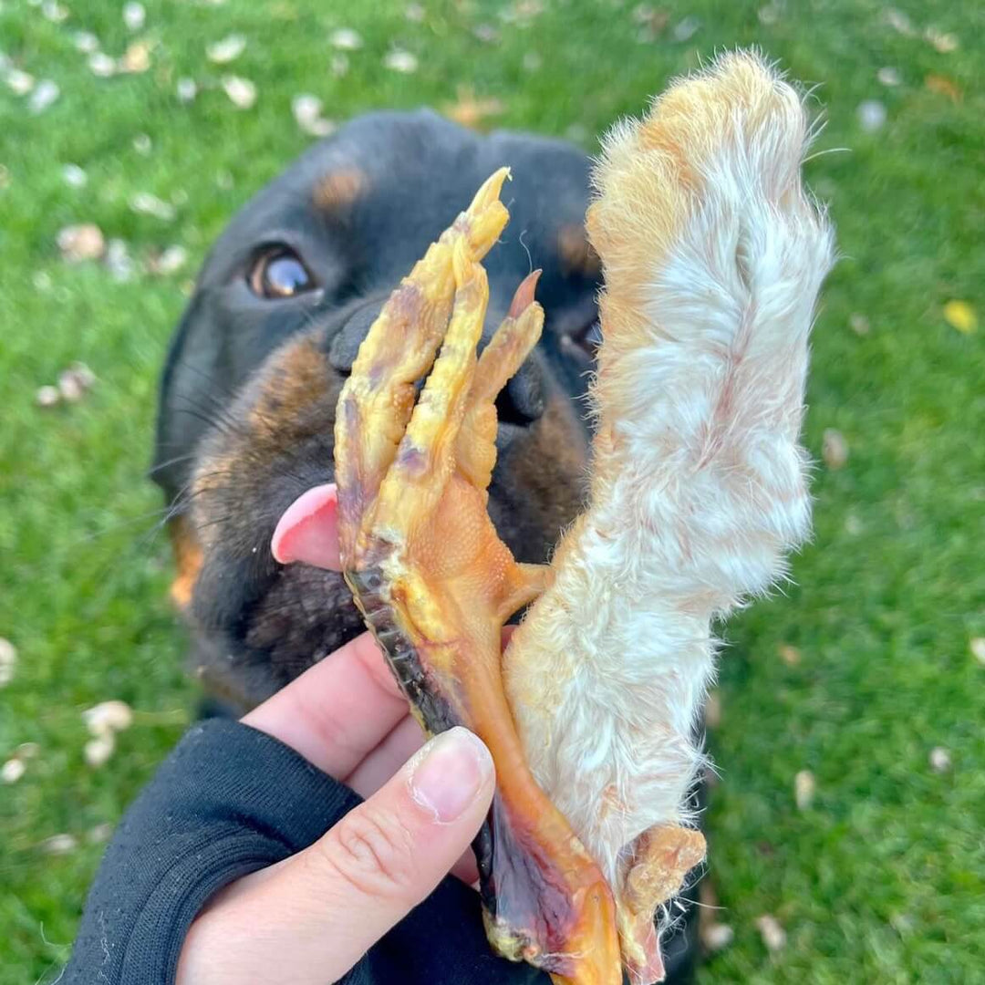 Furever Fierce - Rabbit Ears or Feet