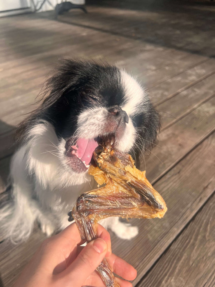 Furever Fierce Duck Parts
