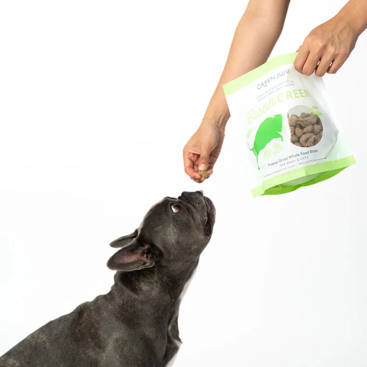 Green Juju Freeze Dried Whole Food Bites for Dogs - Bison Green