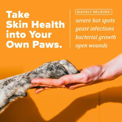 TropiClean HOMEVET Hot Spot Cream 1 oz For Dogs &amp; Cats