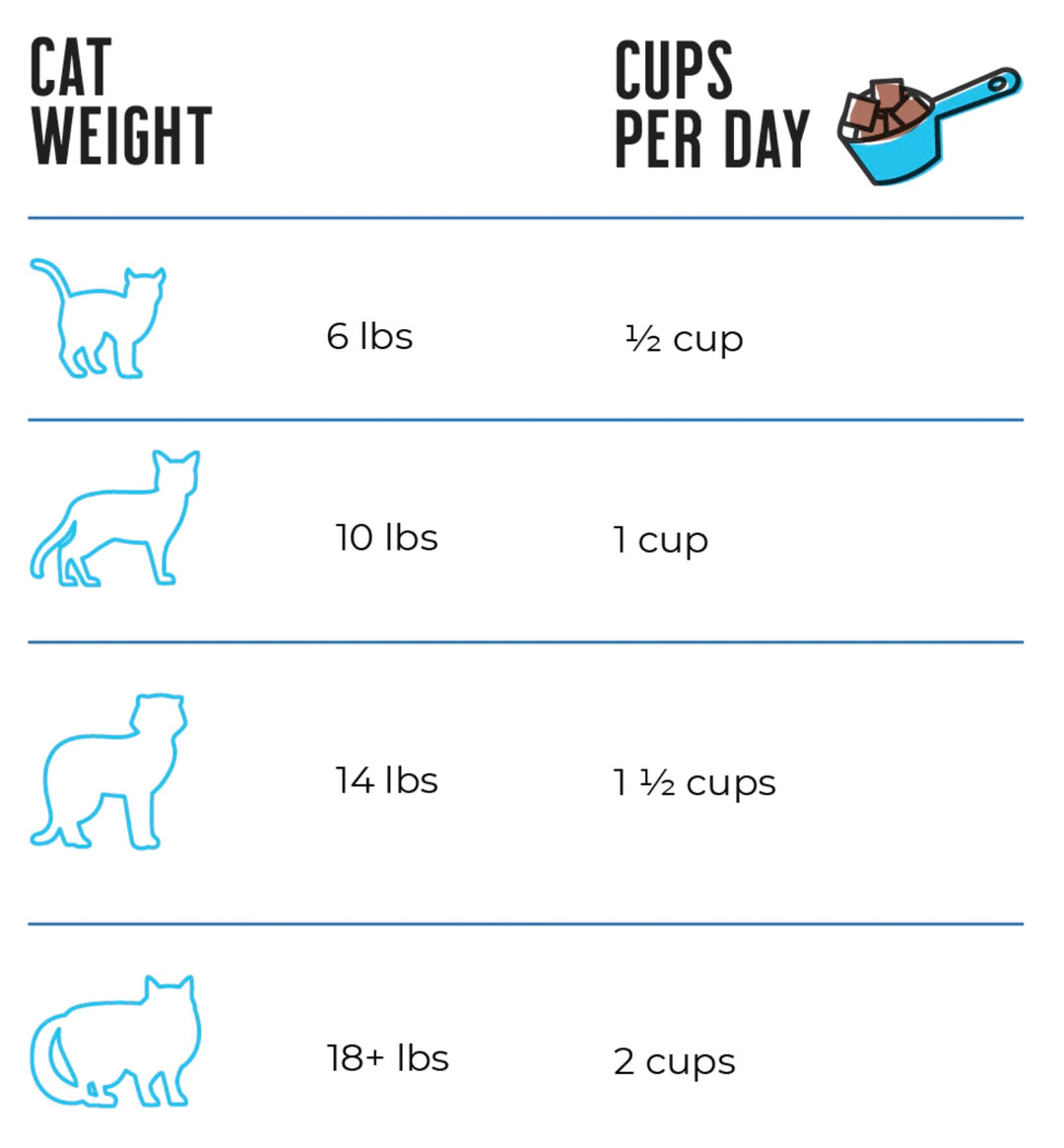 Raw Dynamic Freeze-Dried Cat Food | 5.5oz