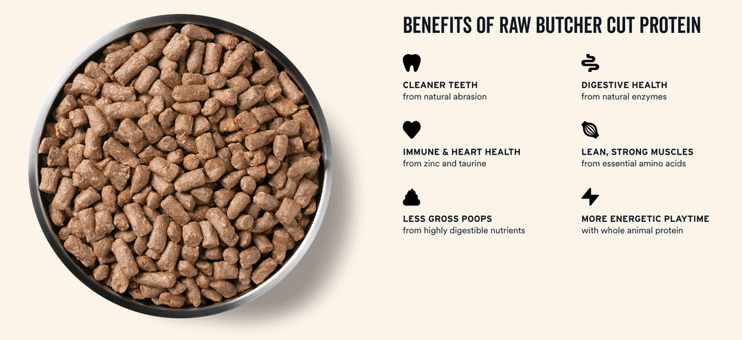 Vital Essentials Freeze-Dried Cat Soft Nibs