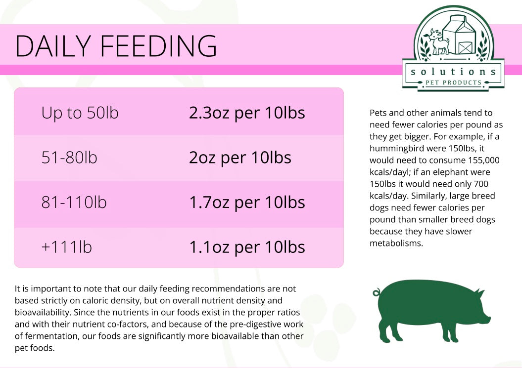 Solutions - Pork Recipe Frozen Raw Fermented Dog Food