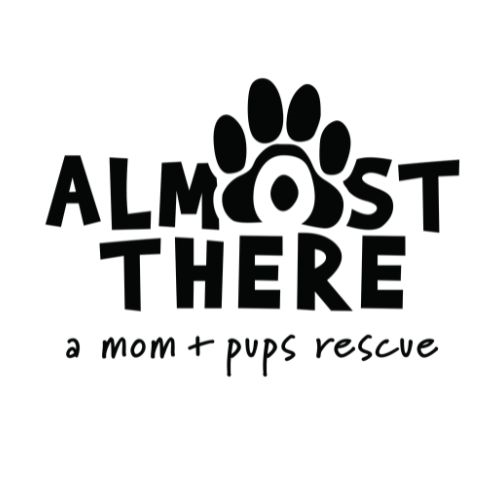 Almost There (Open Farm Puppy Salmon)