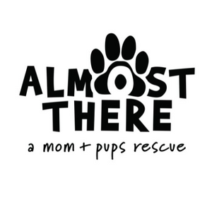 Almost There (Fromm Puppy)