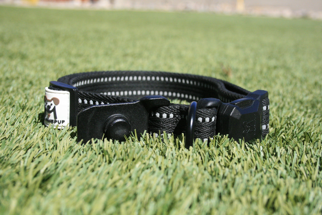 MagnePup Click &amp; Go Collar - Magnetic Dog Collar