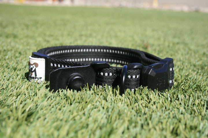 MagnePup Click &amp; Go Collar - Magnetic Dog Collar