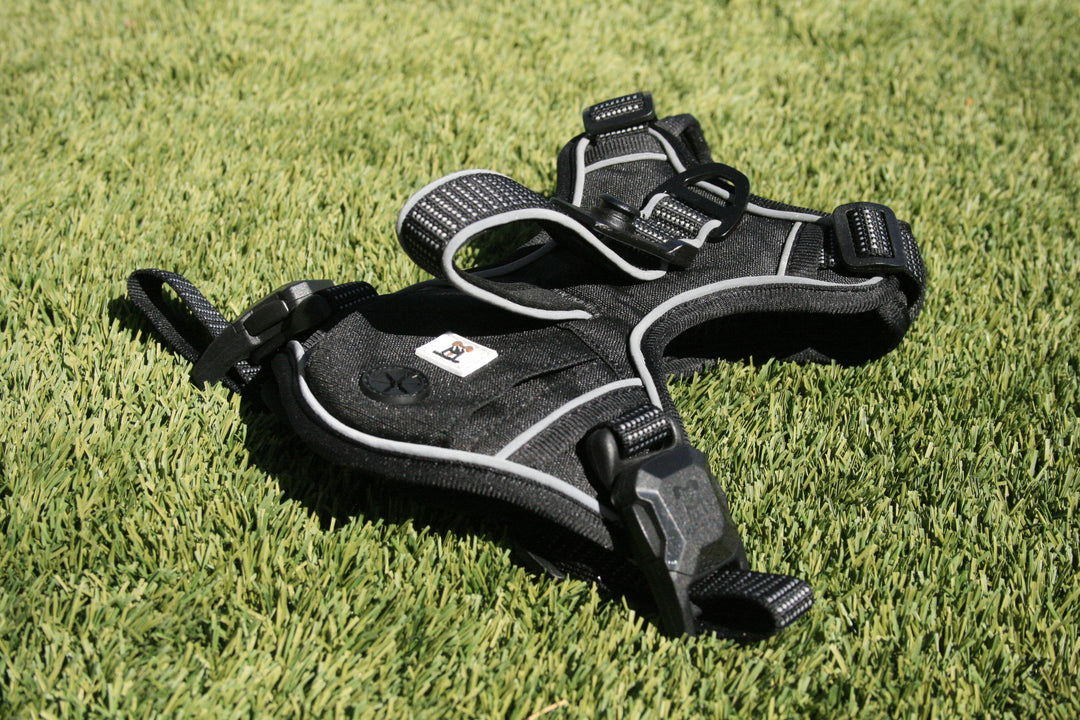 MagnePup Harness with Waste Bag Holder