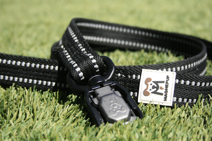 MagnePup Click &amp; Go 4ft Leash