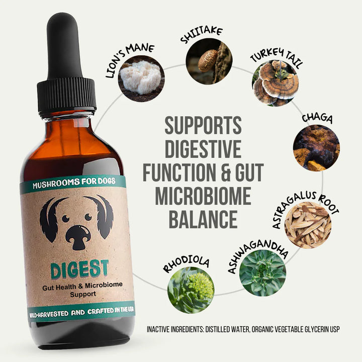 MycoDog - Digest Tincture 2oz