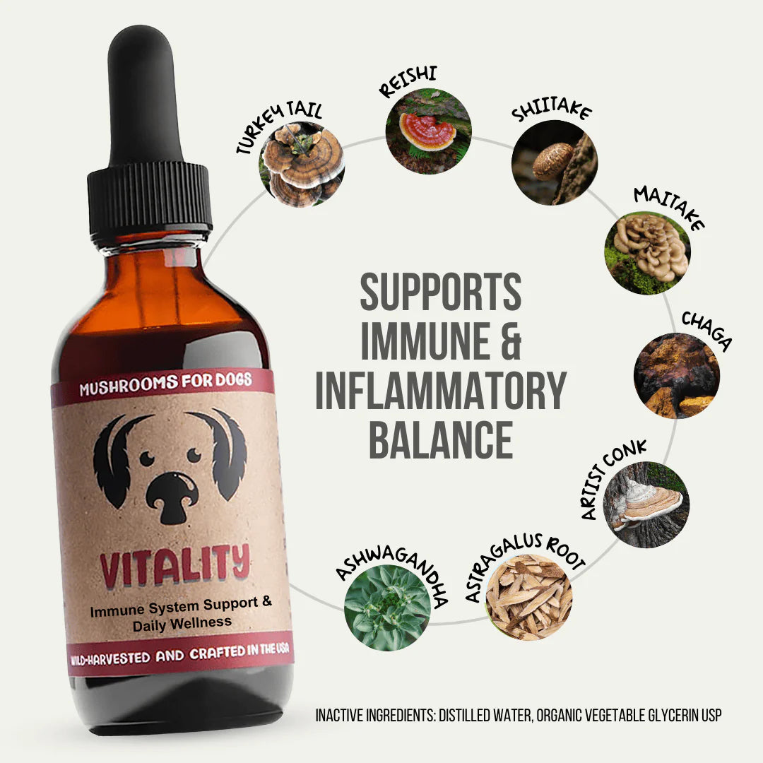 MycoDog - Vitality Tincture 2oz