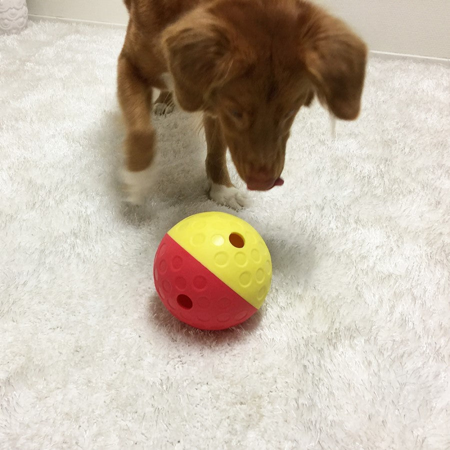Outward Hound Treat Tumble Interactive Dog Puzzle Toy - Level 1