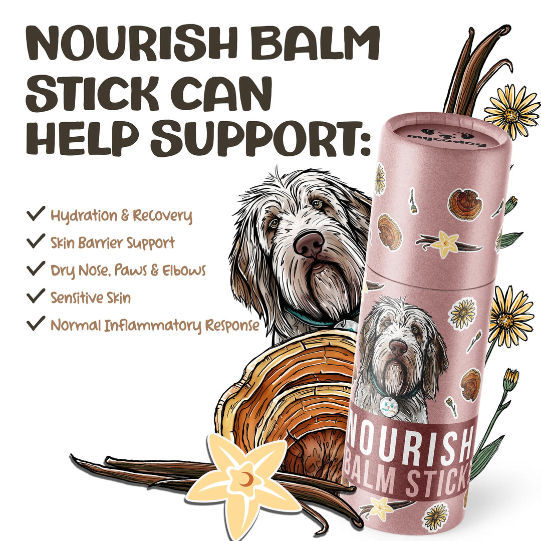 MycoDog - Nourish Mushroom Balm stick for Dogs 25g