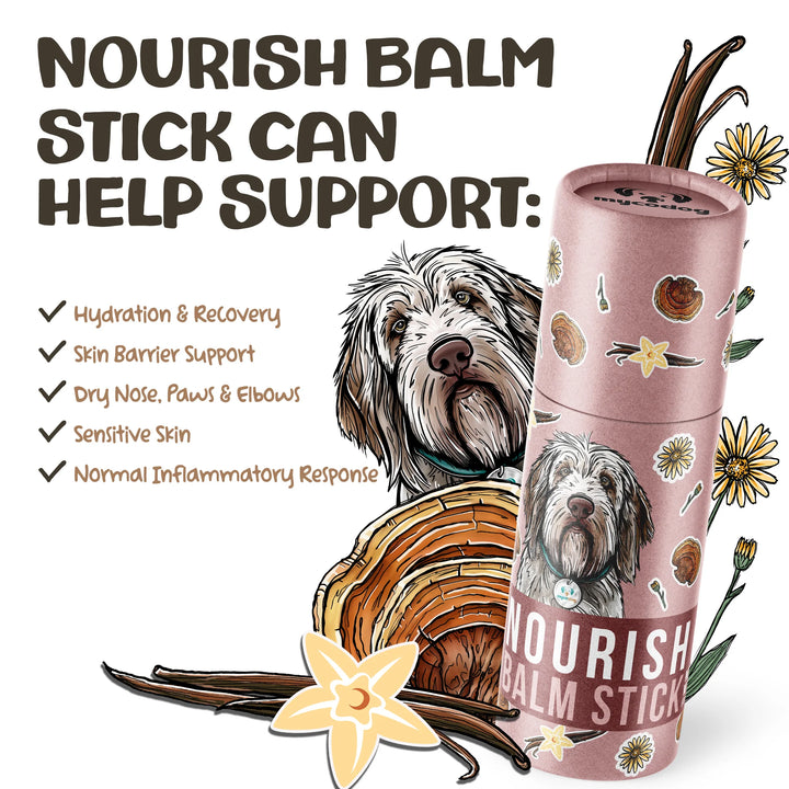 MycoDog - Nourish Mushroom Balm stick for Dogs 25g