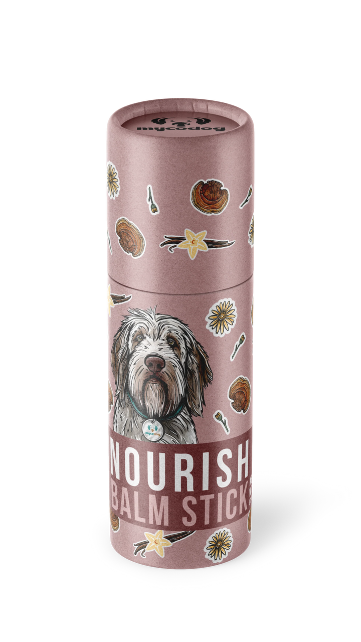 MycoDog - Nourish Mushroom Balm stick for Dogs 25g