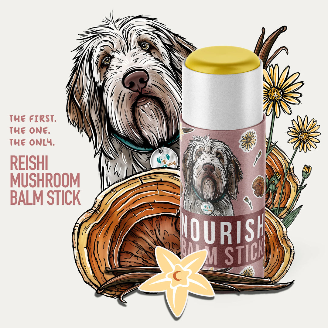 MycoDog - Nourish Mushroom Balm stick for Dogs 25g