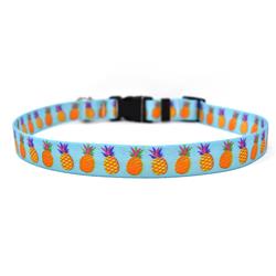 Yellow Dog Design - Pineapple Blue Collar