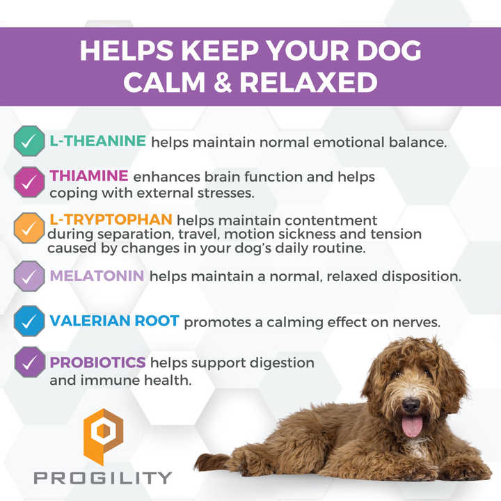 Nootie Progility Max Calming Aid Soft Chews