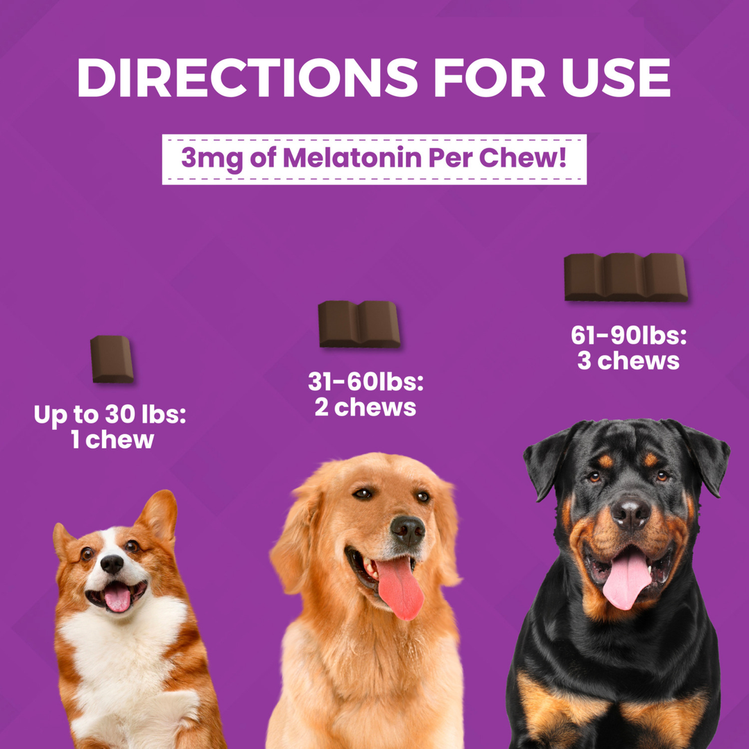 Nootie Progility Max Calming Aid Soft Chews