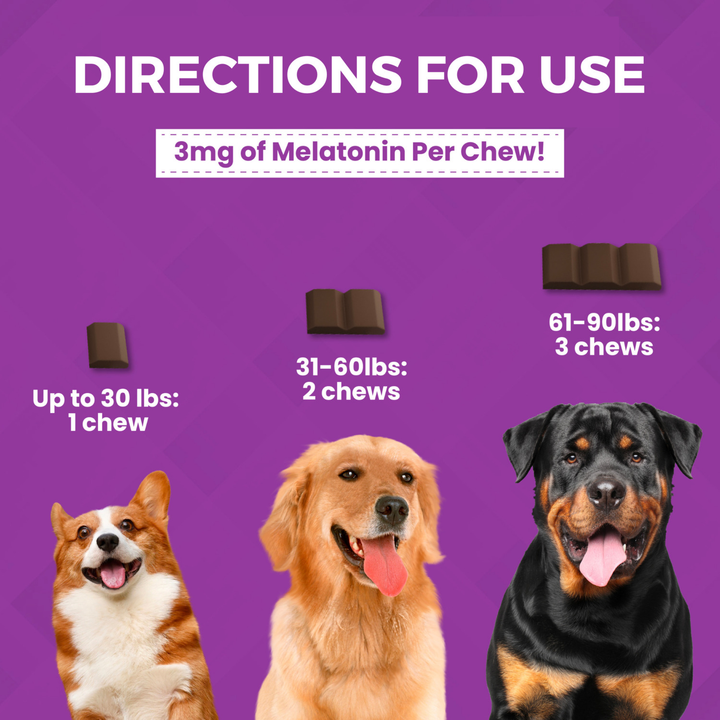Nootie Progility Max Calming Aid Soft Chews