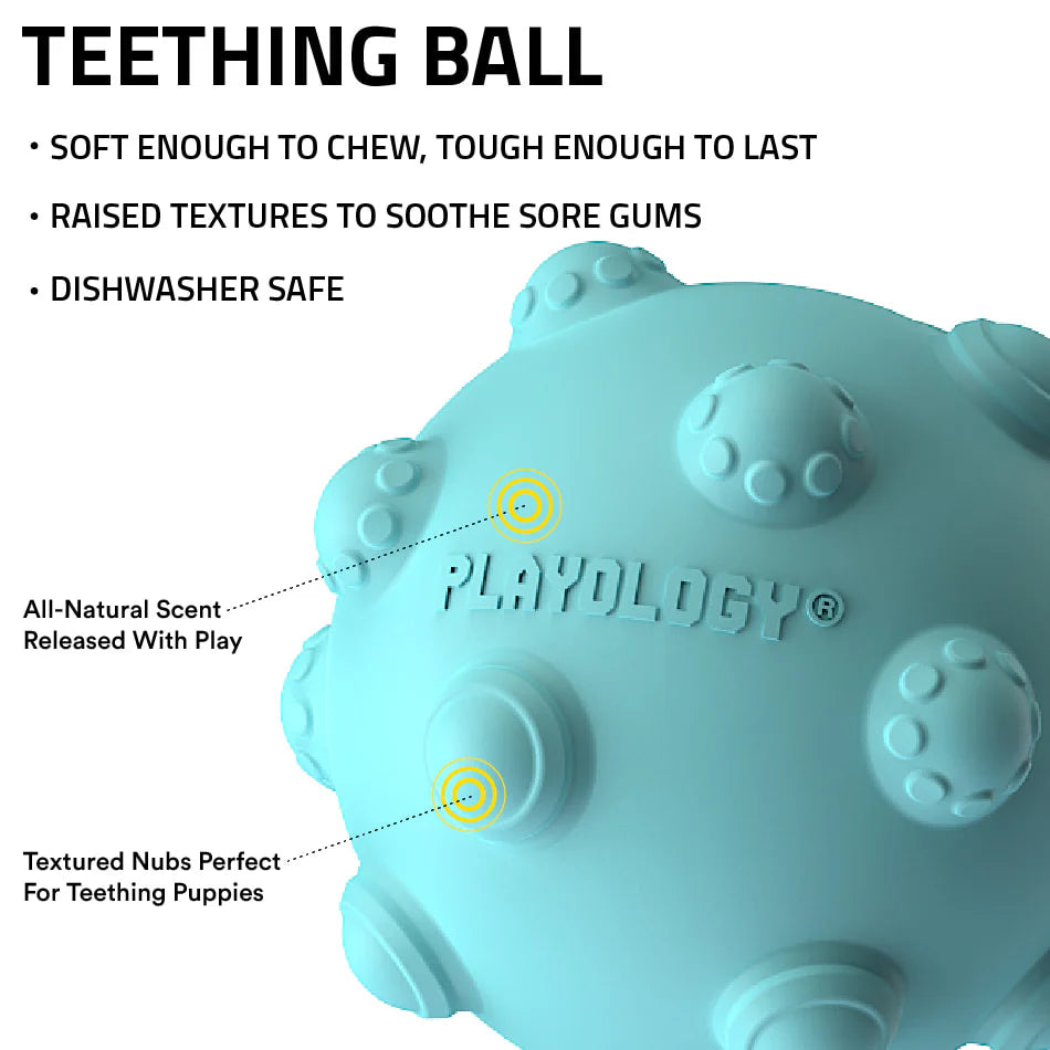 Playology - Scent Infused Puppy Teething Ball Peanut Butter