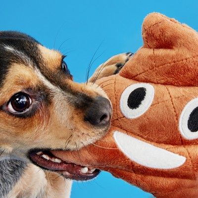 Brownie the Happy Poo Plush Dog Toy