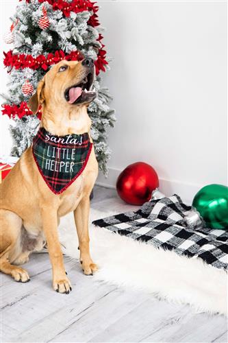 "Santa&