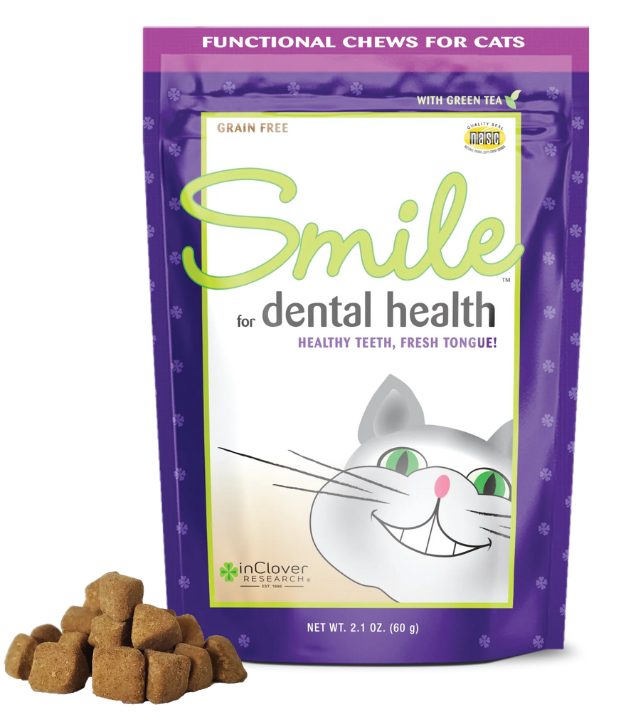 InClover Smile for Dental Health
