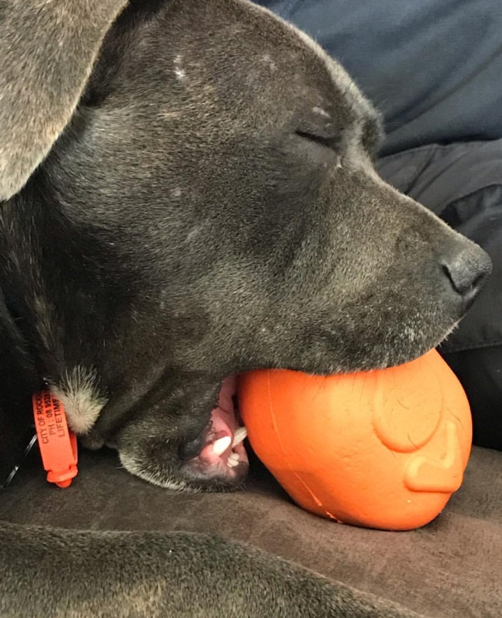 Sodapup MKB Rubber Roasted Turkey Dog Chew Toy Orange Large 4.25" - USA Made