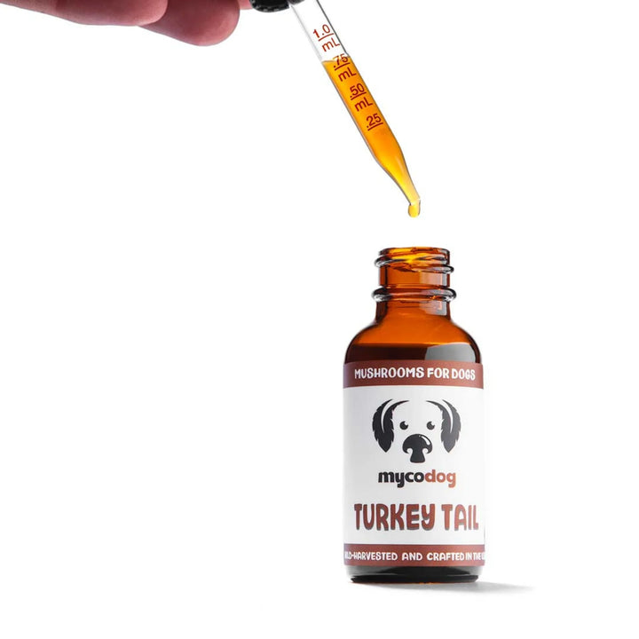 MycoDog - Turkey Tail Tincture 1oz