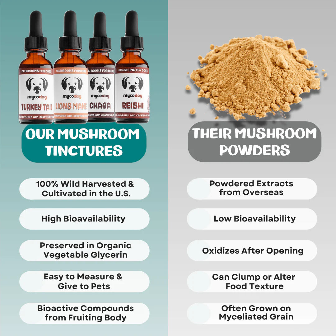 MycoDog - Turkey Tail Tincture 1oz