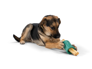 West Paw Funnl Treat Toy Large 4"